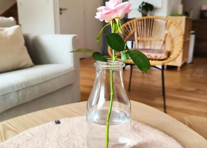 Feriehus Holidays Ocean *